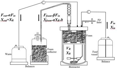 New Continuous Process for the Production of Lipopeptide Biosurfactants in Foam Overflowing Bioreactor